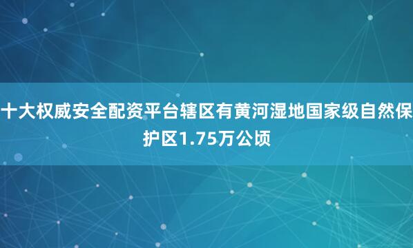 十大权威安全配资平台辖区有黄河湿地国家级自然保护区1.75万公顷