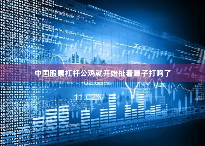 中国股票杠杆公鸡就开始扯着嗓子打鸣了